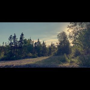 Meet your Posher, Abigail